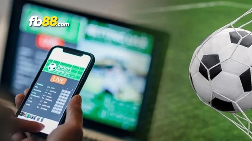 Gợi ý top các phần mềm cá độ bóng đá chất lượng nhất